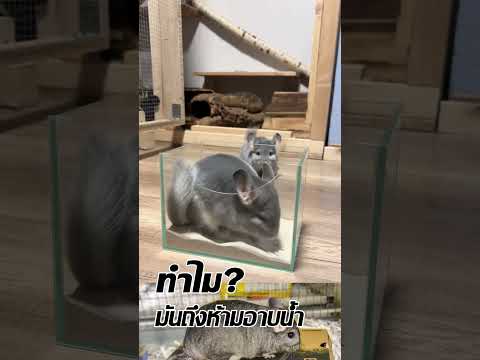 อาบฝุ่น