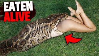 These 3 Pet Owners Were EATEN ALIVE By Their Pets!