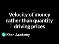 Understanding Price Levels and Currency Dynamics
