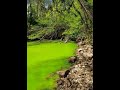 Eutrophication Effects and Control Methods