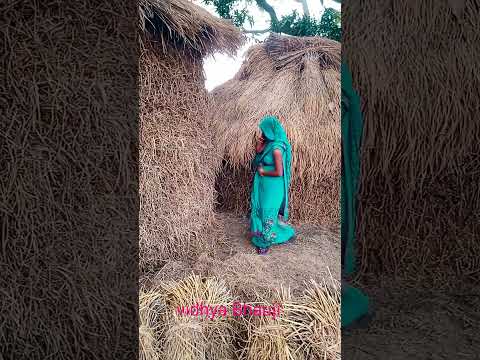 निकलो राजा vidhya Bhauji #shorts #shortsvideo #youtubshorts