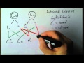 Cystic Fibrosis Genetics Concepts