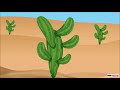 Cactus Adaptations and Functions