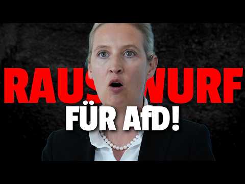 💥HAUSVERBOT! AfD Mitarbeiter fliegen aus dem Bundestag