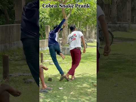 Cobra Snake Prank ๐ #shorts #comedy #funny #reaction #trending #viralvideo #ytshorts