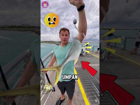 Umpan nya Aja Sebesar itu Apalagi Dapetnya😱⁉️ #shortvideo #mancing
