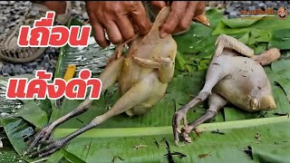 ไก่เถื่อนผัดเผ็ดใส่ยอดมะขาม เมนูท้องถิ่นภาคใต้ บ้านตีหม้อเคาะกระทะ รายการสยามเมืองยิ้มsiamsmile