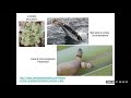 Ecological Concepts and Relationships