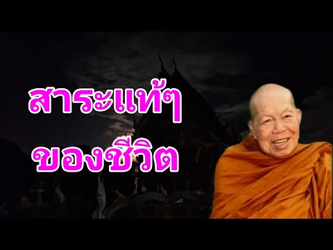 สาระแท้ๆของชีวิต