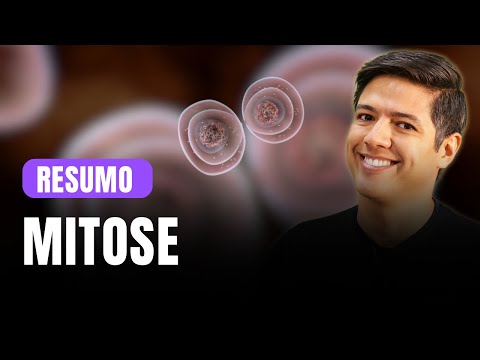 Resumo de Mitose - Resumão para a Prova