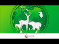 Ecosystem Roles and Relationships