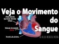 Human Heart Anatomy and Function