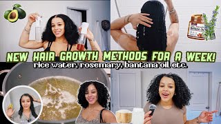 trying NEW hair growth methods in my curly hair for a week! 🌿 rice water, rosemary, bantana oil etc.