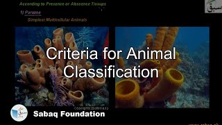 Criteria for  Animal Classification