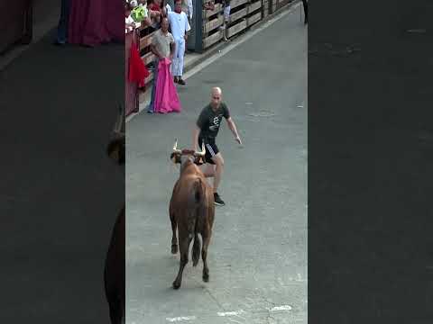 π€£ LE BAILA A LA VACA Y NO LE HACE CASO