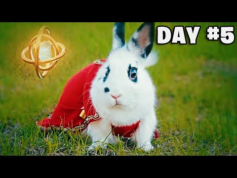Bunny SURVIVES in a Fantasy World!