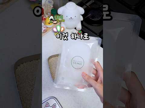'이것' 하나로 여름철 도시락 시간절약하는 꿀팁🌟