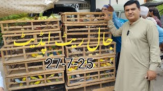 Birds Market Lalukhet Sunday Jaal Update 27-7-25 in Urdu