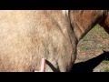 チャンネル登録の重要性