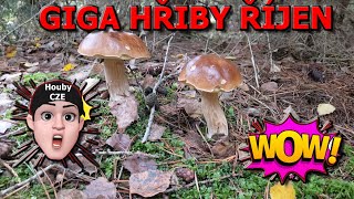 GIGA Hřiby říjen 💪 | Nádherní KOZÁCI | Hřiby kováře | 👌👍🍄🌳🌲