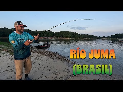 Tremenda lucha en el Río Juma (Brasil)...