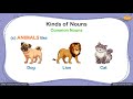Types of Nouns in English