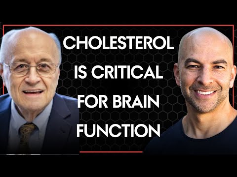 Why cholesterol is critical for brain function | Tom Dayspring and Peter Attia