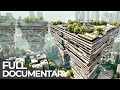 Urbanization Challenges and Innovations