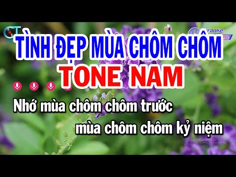 Karaoke Tình Đẹp Mùa Chôm Chôm Tone Nam ( Bm ) Nhạc Sống Phối Mới || Karaoke Đồng Sen