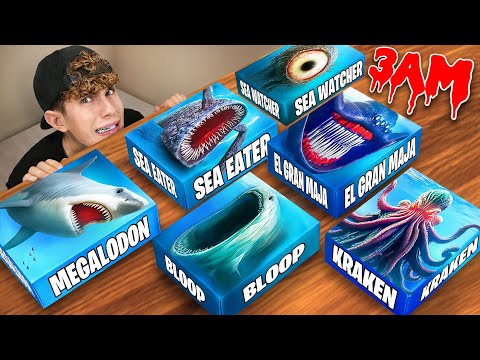 ÖFFNE NIEMALS MYSTERY BLOOP SEA EATER EL GRAN MAJA BOXEN um 3 UHR!!