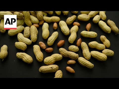 YouTube video thumbnail: Feeding Peanuts to Babies Early Helped 60,000 Kids Avoid Allergies, Study Finds