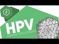 hpv-humane-papillomviren/
