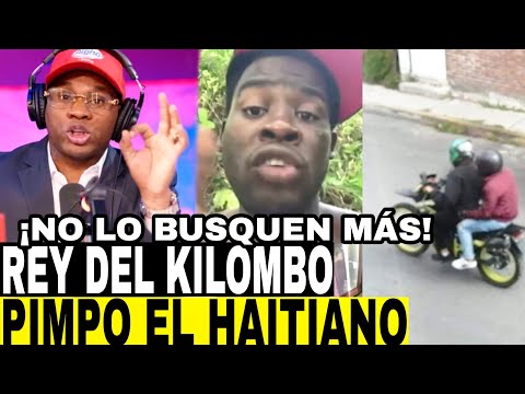 PIMPO EL HAITIANO PROMETE EJECUTAR PERSONA POR CADA DIA QUE RAMON TOLENTINO LO MENCIONA EN MEDIOS