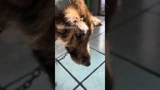 La historia de Jelga, 18 meses después