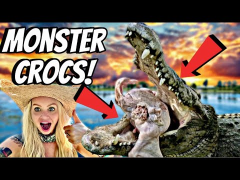 Monster Croc Feeding Frenzy!