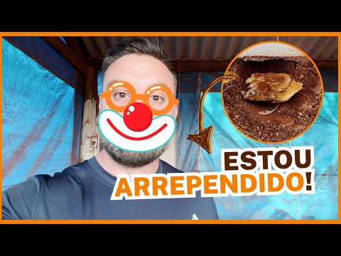 ME ARREPENDI de NÃO FAZER CONTRAPISO no GALPÃO das POEDEIRAS