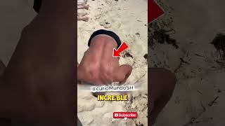 El calvo que “se implantó” cabello en la playa 😂✨