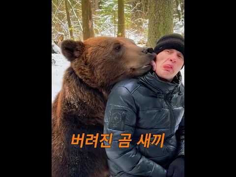 삼촌은 야생에서 작은 갈색 곰을 집어 들었습니다. #animals #동물키우기 #동물