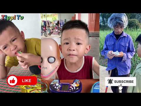 Tổng Hợp Các Video Hay Nhất Kênh Tippi Tv Phần 5 - Tippi Tv #tippitv