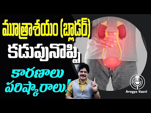 మూత్రాశయం (పొత్తి కడుపు) నొప్పి: కారణాలు, పరిష్కారాలు! Urinary Bladder & Lower Abdominal Pain,Causes
