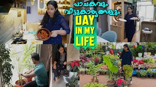 ഇപ്പോൾ അനങ്ങാൻ നിവർത്തിയില്ല 😃 ||  Cozy Weekends 😍 || Swapnas Wonderland 