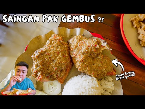 SAINGAN AYAM GEPUK PAK GEMBUS! AYAM GEBUK MAK AYAM