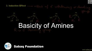 Basicity of Amines