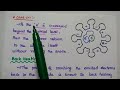 Magnetron Operation and Applications
