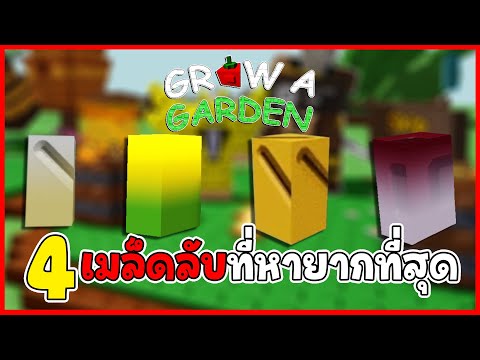 4 เมล็ดลับทีหายากที่สุด - Grow a Garden