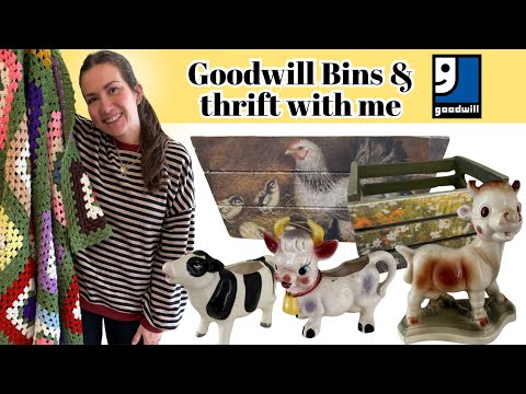 Thrifting At Goodwill Bins For Resell - DIY Thrift Flips For Profit