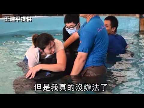 滿肚垃圾袋 殺了領航鯨「小梧子」-- 蘋果日報20150702 - YouTube(2分14秒)