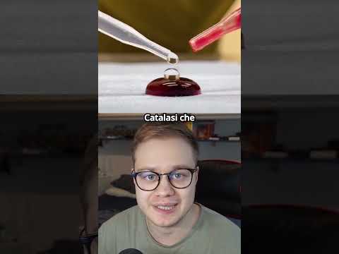 Ecco cosa succede se mischi l'acqua ossigenata con il sangue!