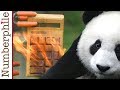 Bamboo Calculator Features and Functions