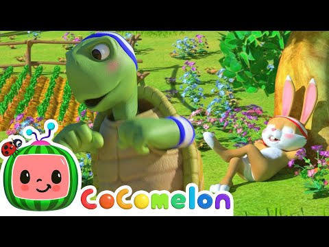 A tartaruga e a lebre🐢vs🐇 |  CoComelon | Músicas Infantis e Desenhos Animados em Português